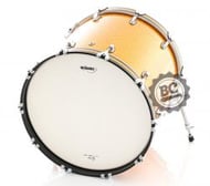 Pele Williams Density WC1SC Coated com Anel 20" Bumbo Porosa com Anel Abafador WC1SC-250-20