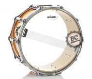 Pele Williams W1B Hazy Snare 14" Resposta de Caixa (Tipo Ambassador Hazy e Hazy 300) W1B-075-14