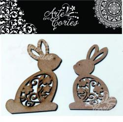 COELHINHOS 20PASC021
