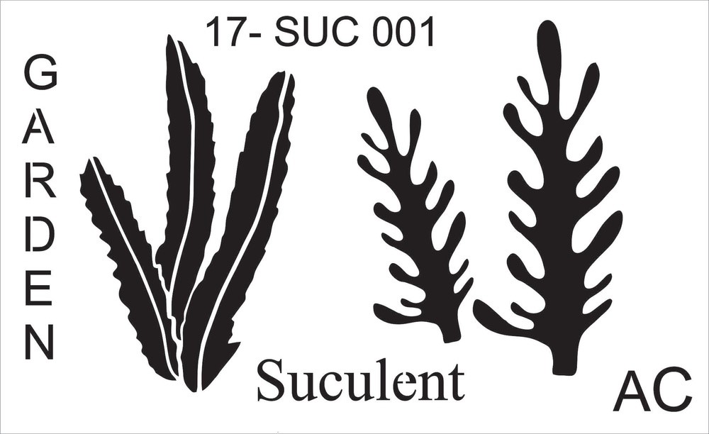 Stencil CACTOS E SUCULENTAS  17suc001