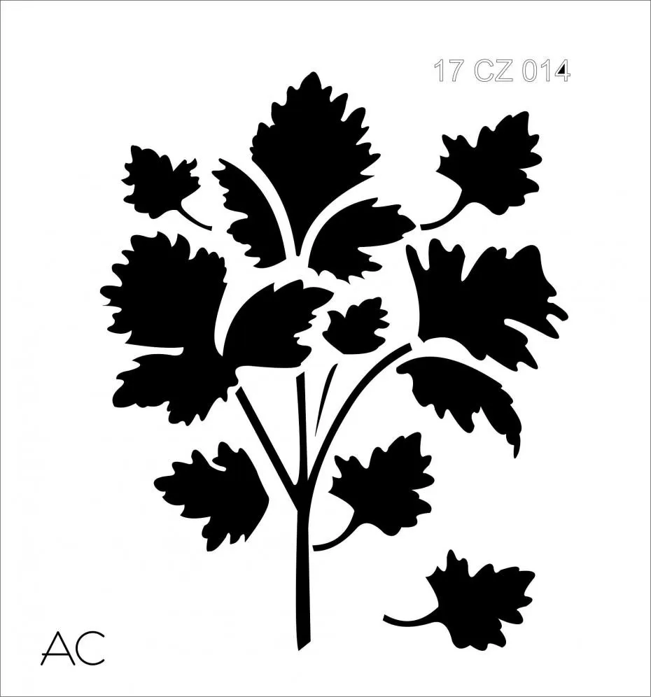 Stencil SALSA COD 17coz014