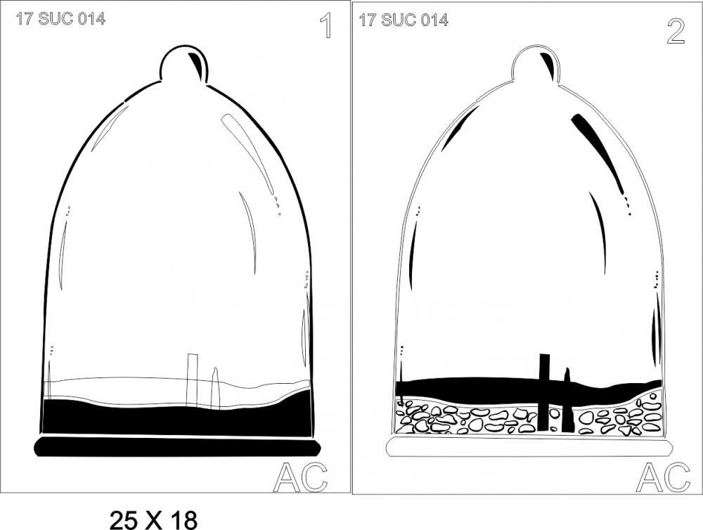 Stencil Cupula de vidro para jardinagem   17suc014