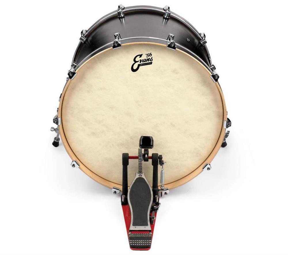 Pele Evans EQ4 56 Calftone 16" para Bumbo Filme Único Aspecto Couro com Anel Abafador (028124)