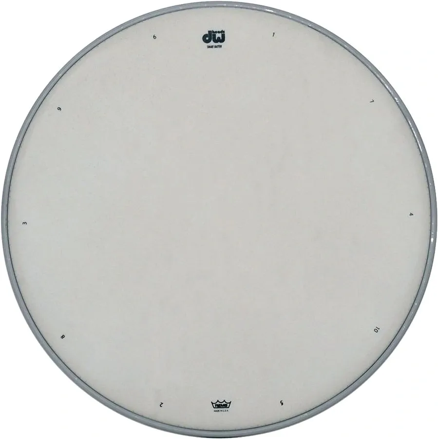 Pele DW by Remo USA Ambassador Coated 14" Porosa (Liquidação)