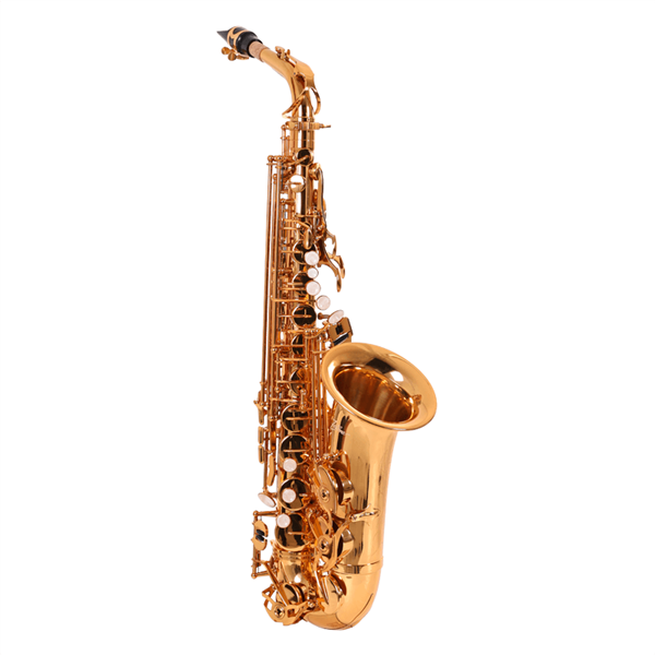 Saxofone Tenor Sib Laqueado Zellmer ZTS-600L Bb Com Case 12x Sem Juros