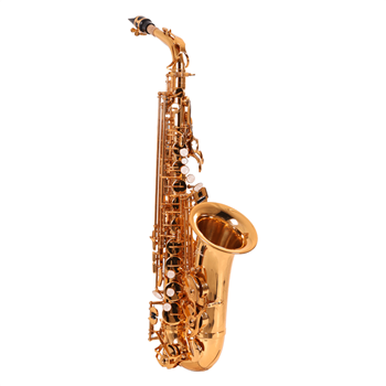 Saxofone Alto Zellmer ZAS-600L Eb Sib Laqueado Com Estojo 12x Sem