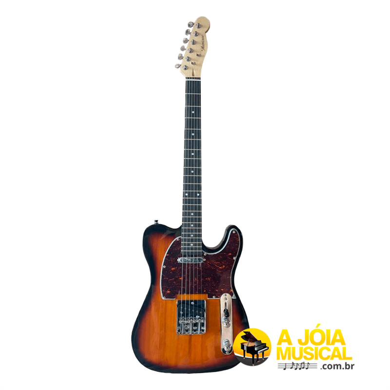 モリダイラ楽器 テレキャスタータイプ エレキギター Hurricane