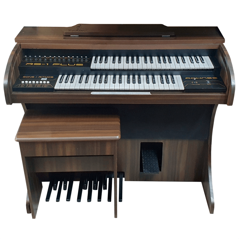 鍵盤楽器 Worng Electronics LRMSMSLR Órgão Eletrônico Rohnes Liz Plus Marrom