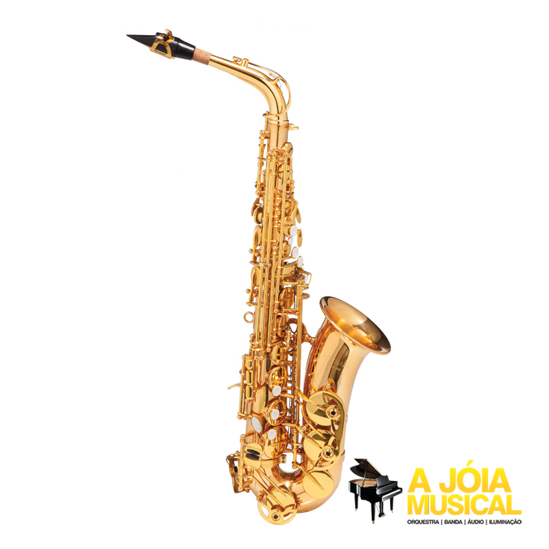 鳴響　真鍮バッフル　SPEC3 Saxofone Alto Michael WASM48 Dourado