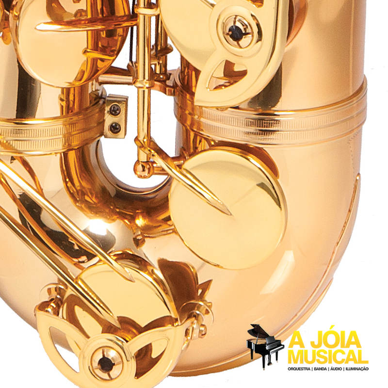 Saxofone Alto Michael WASM48 Dourado