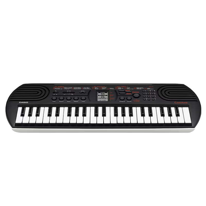 Teclado Infantil Casio Casiotone Sa 81 Preto Sem Fonte