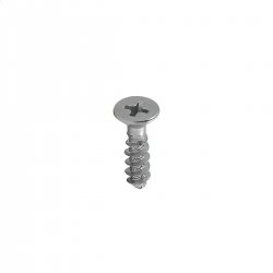 Parafuso Para Plástico  Chata Phillips 2,5x10 Zincado