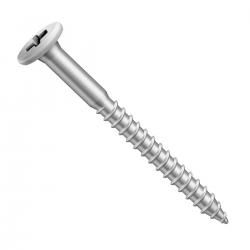 Parafusos 13mm Cpl Tampinha Philips 5,5 Com 100 Peças