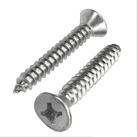 Parafuso Auto Atarraxante Inox Chata Phillips 5,5x38 - 100 Peças