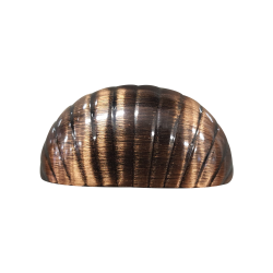 Puxador Concha Ostra 64mm Cobre Velho - Gruppa