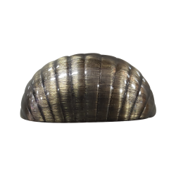 Puxador Concha Ostra 64mm Ouro Velho - Gruppa