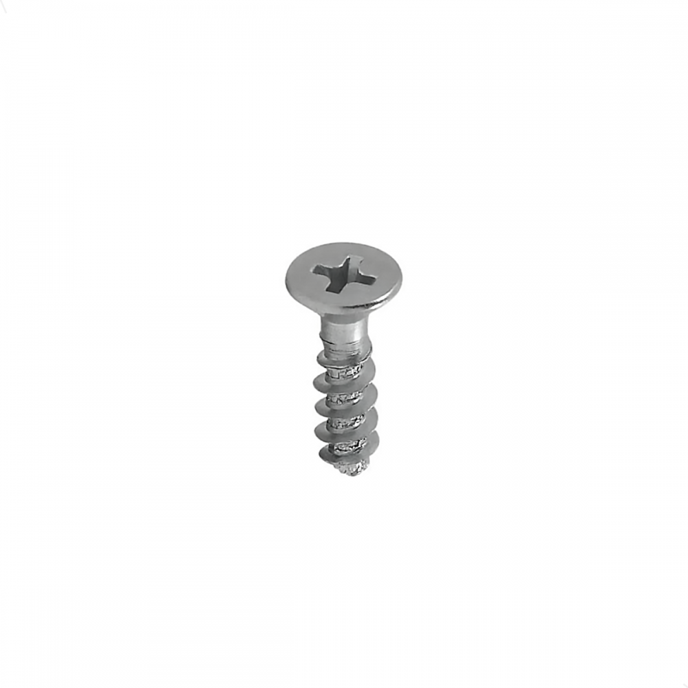 Parafuso Para Plástico  Chata Phillips 2,5x10 Zincado