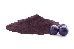 Açai Pó - 10 Kg - Saco