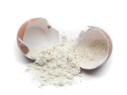 Albumina - 2 Kg - Pacote