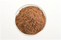Argila Vermelha - 1 kg - Pacote