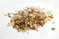 Arroz Cateto Com Vermelho - 5Kg - Pacote