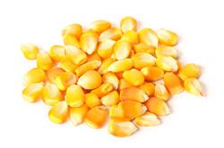 Canjica Amarela - 5Kg - Pacote
