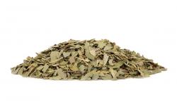 Chá Boldo - 5Kg - Saca