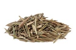Chá Folha De Oliveira- 1 Kg - Pacote