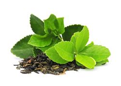 Chá Verde - 5 Kg - Saca