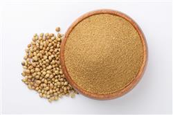 Coentro em Pó - 3 Kg - Pacote