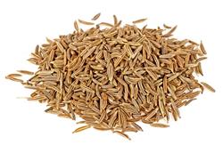 Cominho em Grãos - 3 KG - Pacote