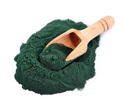 Espirulina - 10 Kg - Saco