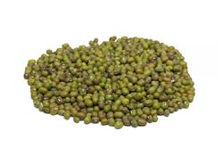 Feijão Moyashi - 5 Kg - Pacote