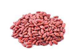 Feijão Vermelho Longo (Red King)  - 25Kg - Saca