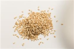 Gergelim Branco com Casca - 5Kg - pacote
