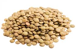 Lentilha Canadense - 45,360Kg - Saca