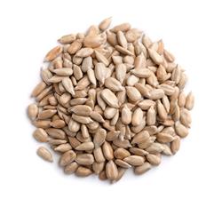Pepita de Girassol Torrada C/ Sal - 3 Kg - Pacote