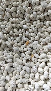 Amendoim Doce ( Sabor Coco) - 5kg - Pacote