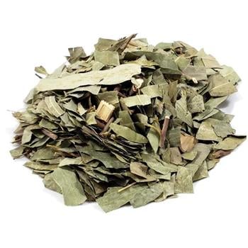 CHÁ EUCALIPTO 5KG - SACA