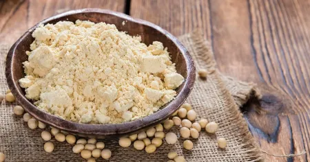 FARINHA DE SOJA - 10KG - SACA