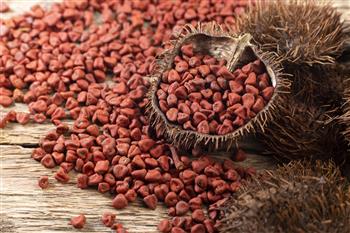 Temp.Semente de Urucum - 10 Kg - Saca