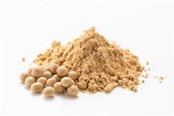 Proteína de Soja Isolada - 20 Kg - Saca
