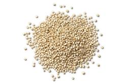 Quinoa em Grãos Branca - 5 Kg - Pacote