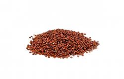 Quinoa em Grãos Vermelha - 5 KG - Pacote