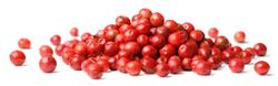 Temp. Pimenta Rosa em Grãos - 2 Kg - Pacote