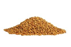 Feno Grego (Grão)- 3 Kg - Pacote