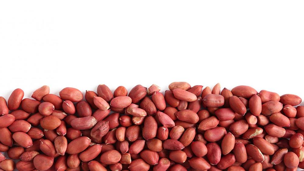 Amendoim Grão HPS Frito com Sal - 5 Kg - Pacote