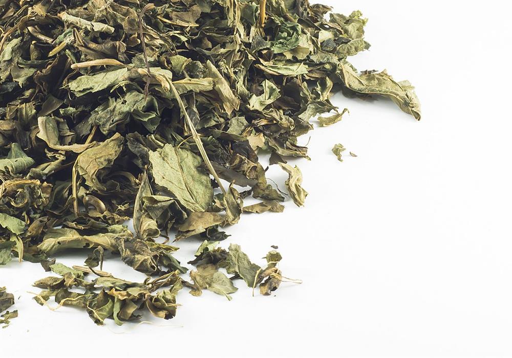 Canela de Velho - 5 Kg - Saca