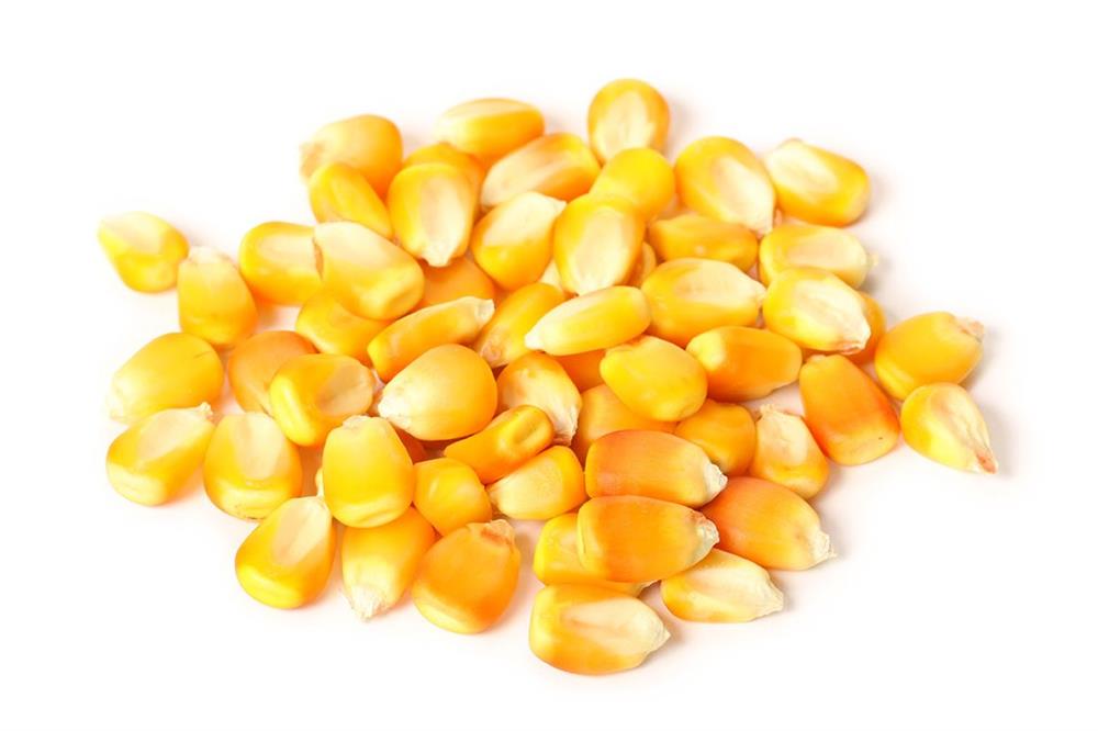 Canjica Amarela - 30Kg - Saca