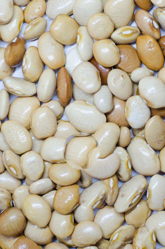 Feijão Fava Manteiga - 5Kg - Pacote